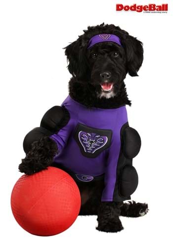 Dodgeball Globo Gym Costume for Pets