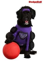 Dodgeball Globo Gym Costume for Pets