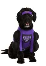 Dodgeball Globo Gym Costume for Pets Alt 1