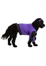Dodgeball Globo Gym Costume for Pets Alt 3