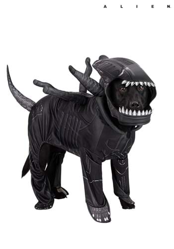Alien Xenomorph Costume for Pets