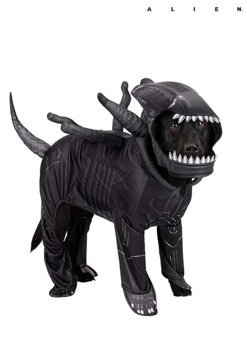 Alien Xenomorph Costume for Pets