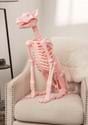Roxy the Pink Skeleton Dog Prop Decoration