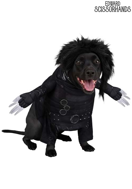 Edward Scissorhands Pet Costume