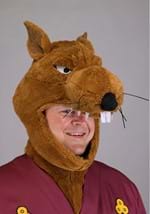 Plus Size TMNT Master Splinter Costume Alt 4