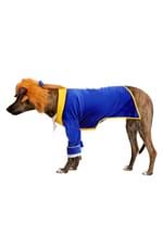Disney Beauty and the Beast Costume for Pets Alt 3