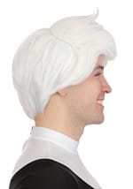 Nickelodeon Danny Phantom Mens Costume Wig Alt 3
