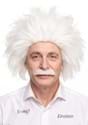 Adult Mad Scientist Wig and Mustache Costume Kit