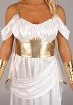 Athena Womens Costume Dress Alt 5