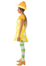 Adult Orange Blossom Strawberry Shortcake Costume Alt 5