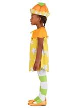 Orange Blossom Strawberry Shortcake Toddler Costume Alt 2