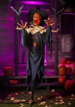 Raven Scarecrow Animated Decoration