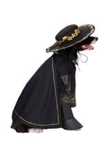 Zorro Costume for Pets Alt 2