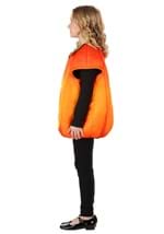Fall Pumpkin Kids Costume Alt 2