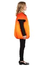 Fall Pumpkin Kids Costume Alt 3