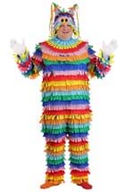 Plus Size Pinata Adult Costume