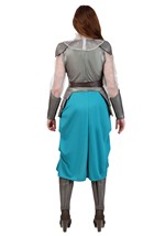 Adult Deluxe Joan of Arc Costume Alt 1