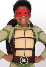 Complete Teenage Mutant Ninja Turtles Kids Costume Alt 9