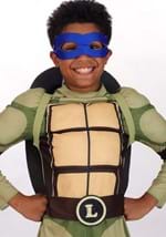 Complete Teenage Mutant Ninja Turtles Kids Costume Alt 10