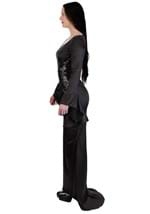 The Addams Family Womens Morticia Costume Dress Alt 2