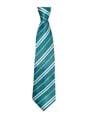 Harry Potter Slytherin House Tie