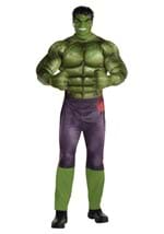 Classic Hulk Mens Costume