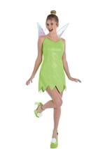 Tinkerbell Costume for Women