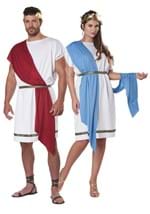 Plus Size Party Toga Adult Costume