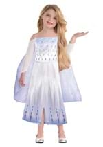 Girls Frozen Elsa Toddler Costume Dress