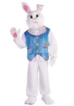Hop into Spring Easter Bunny Adult Costume