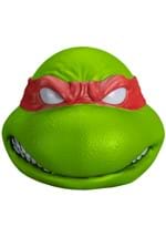 Teenage Mutant Ninja Turtles Raphael Adult Vinyl Mask