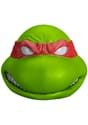 Teenage Mutant Ninja Turtles Raphael Adult Vinyl Mask