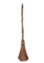 Wicked Elphaba Broom Costume Accessory
