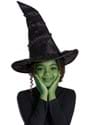 Wicked Elphaba Witch Costume Hat