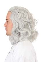 Classic Ben Franklin Adult Costume Wig Alt 2