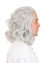 Classic Ben Franklin Adult Costume Wig Alt 3