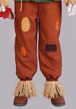 Premium Wizard of Oz Scarecrow Kids Costume Alt 7