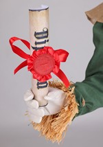 Premium Wizard of Oz Scarecrow Kids Costume Alt 6