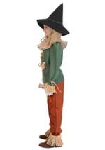 Premium Wizard of Oz Scarecrow Kids Costume Alt 2