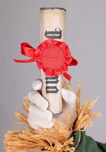 Premium Wizard of Oz Scarecrow Mens Costume Alt 6