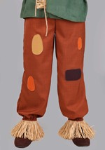 Plus Premium Wizard of Oz Scarecrow Mens Costume Alt 8