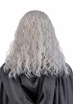 Mens Gandalf Lord of the Rings Costume Wig Beard Alt 1