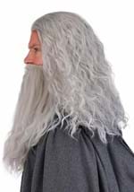 Mens Gandalf Lord of the Rings Costume Wig Beard Alt 2