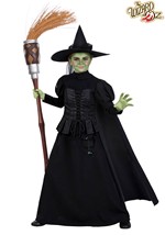 Kids Wizard of Oz Wicked Witch Premium Costume