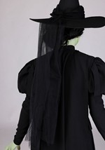 Kids Wizard of Oz Wicked Witch Premium Costume Alt 8