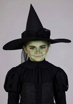 Kids Wizard of Oz Wicked Witch Premium Costume Alt 4