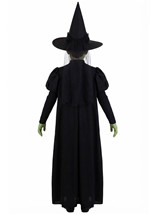 Kids Wizard of Oz Wicked Witch Premium Costume Alt 1