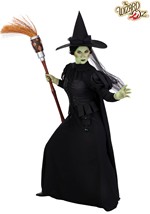 Womens Wizard of Oz Wicked Witch Premium Costume
