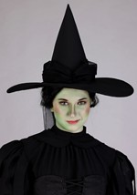 Womens Wizard of Oz Wicked Witch Premium Costume Alt 3