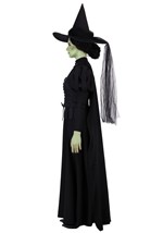 Womens Wizard of Oz Wicked Witch Premium Costume Alt 2